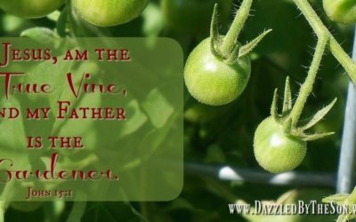 The Gardener