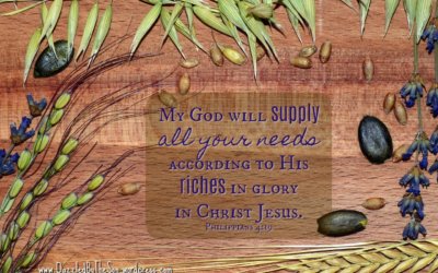 Giving Thanks when Things Aren’t Perfect