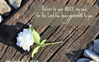 Let’s Go Back: Returning to Rest when Life Won’t Slow Down