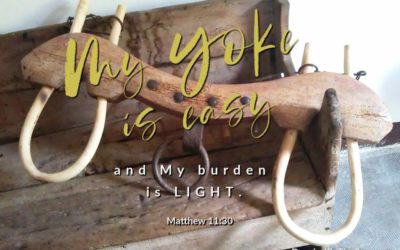 3 Reasons We Grow Weary (And What to Do When We Are)